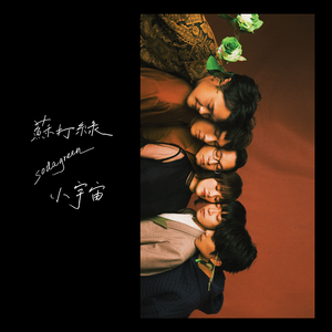 老男人夜生活与女人视频
