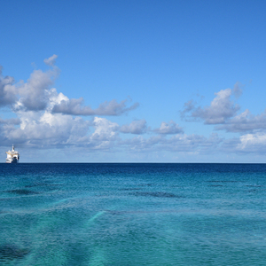 老男人夜生活与女人视频
